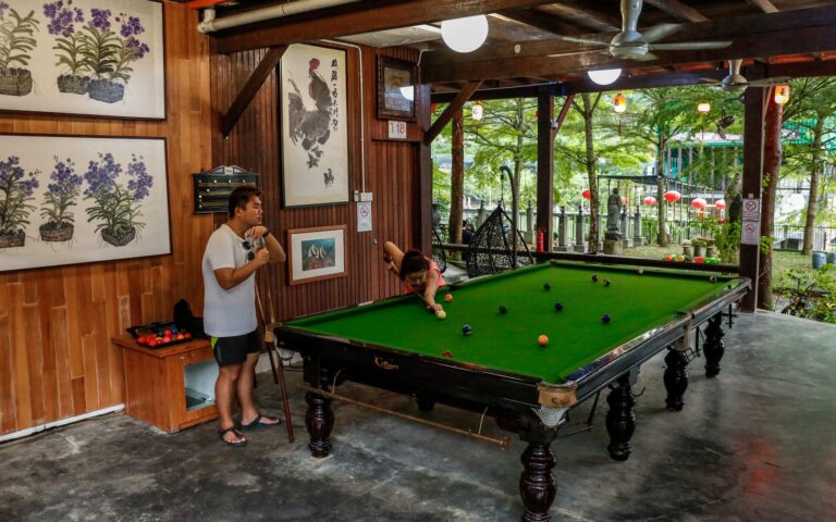 Snooker table, Mahjong, Chess, card games